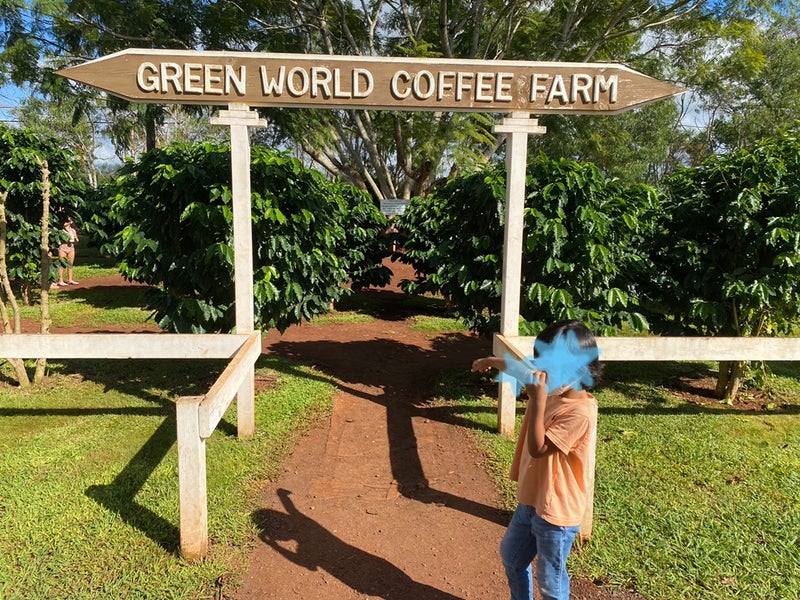 green world coffee farm