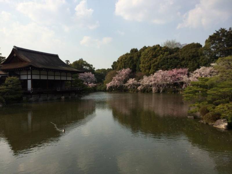 春の京都旅！